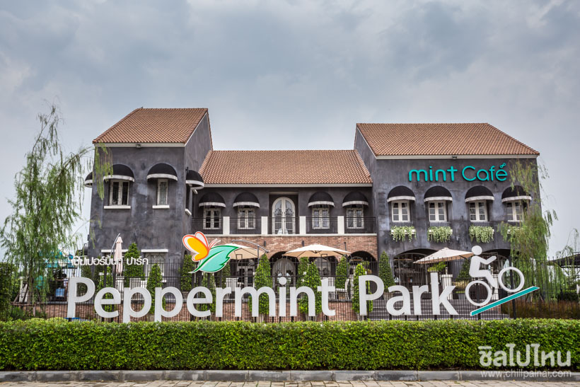 รีวิว Peppermint Bike Park & Mint Cafe คาเฟ่สุดชิค พร้อมสนามปั่นจักรยาน